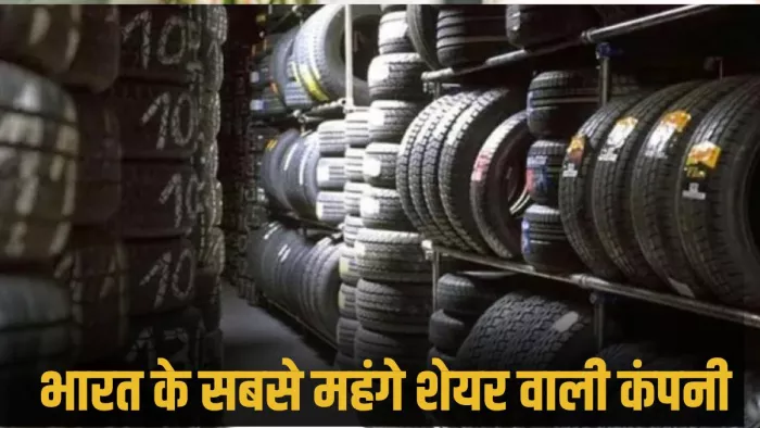 वित्त वर्ष 2023-24 के लिए MRF का नेट प्रॉफिट 2,081 करोड़ रुपये रहा।