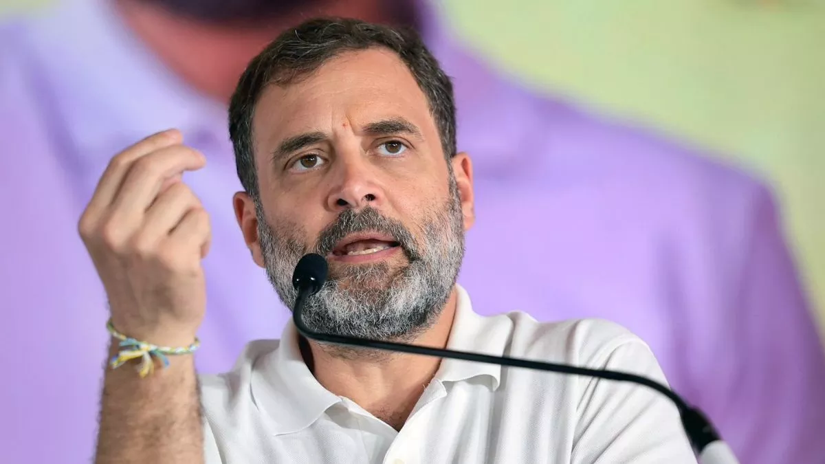 Rahul Gandhi : बिहार BJP को नहीं भाया राहुल गांधी का रायबरेली जाना, इन दो कद्दावर नेताओं ने दिखा दिया आईना