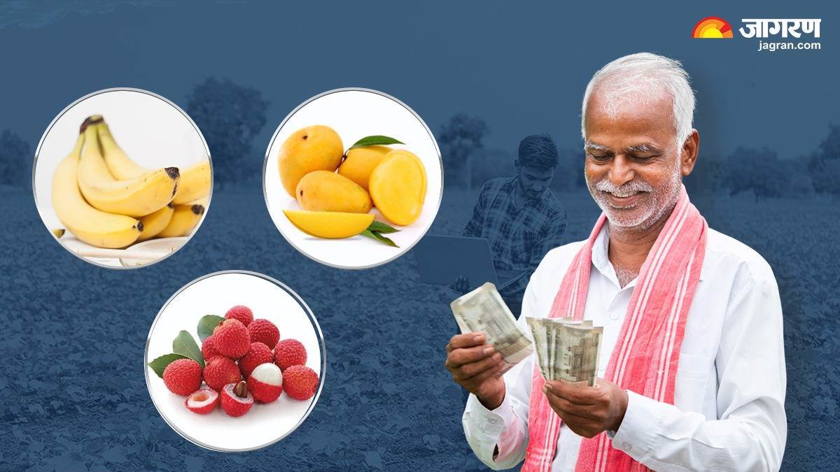 https://www.jagranimages.com/images/newimg/03052025/03_05_2025-bihar-news_13_23930136_13469627.jpg