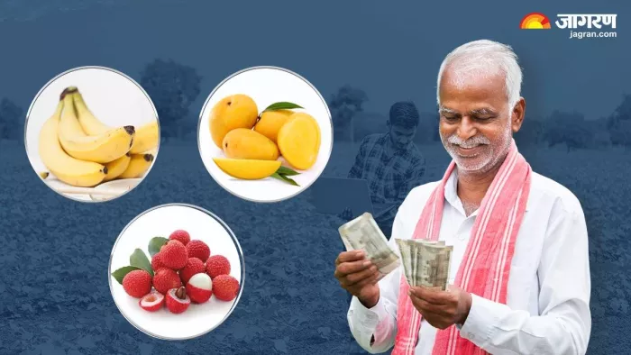 भागलपुर के किसानों के फल नहीं होंगे बर्बाद