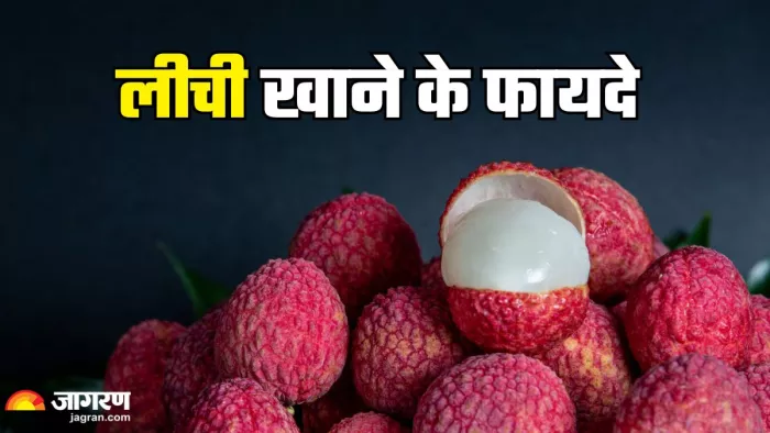 रोजाना लीची खाने के फायदे (Picture Credit- Freepik)