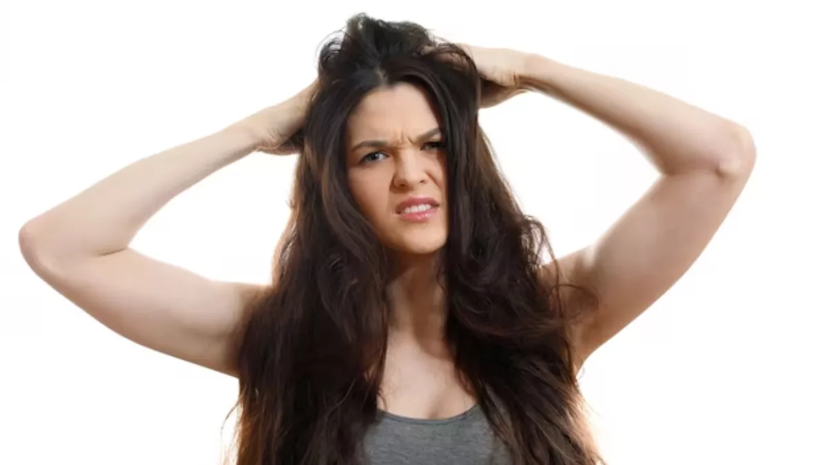 Greasy Hair Tips: गर्मी और पसीने से बाल जल्दी हो जाते हैं ग्रीसी, तो ऐसे रखें उनका ख्याल
