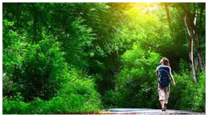 Importance of Nature in Hinduism जानिए क्या है हिंदू धर्म में प्रकृति का महत्व।