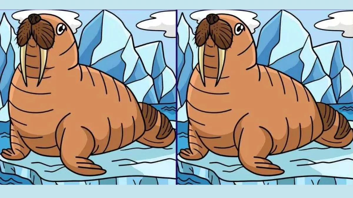 Spot The Differences: एक जैसी इन दो तस्वीरों में हैं 3 अंतर, क्या 30 में ढूंढ पाएंगे आप?