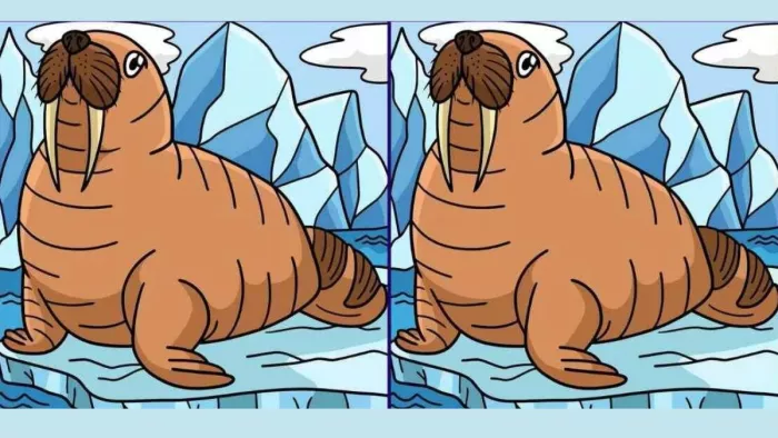 Spot The Differences: एक जैसी इन दो तस्वीरों में हैं 3 अंतर, क्या 30 में ढूंढ पाएंगे आप?