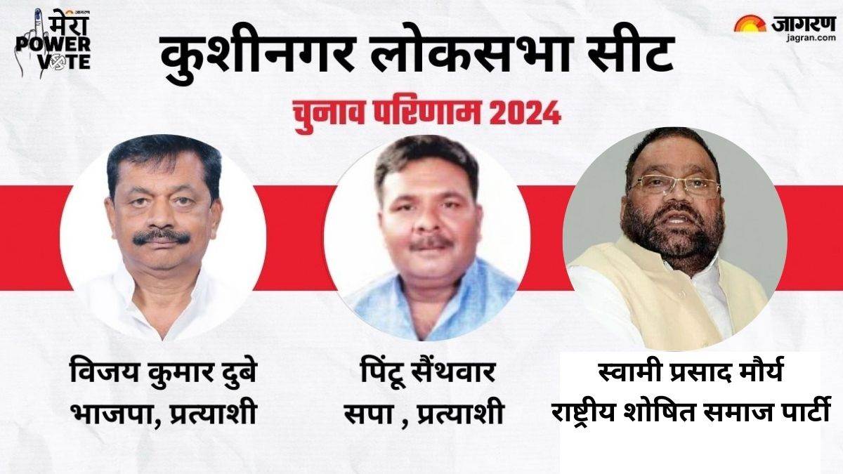 kushinagar lok sabha election result 2024 vijay kumar dubey bjp vs ajay pratap singh sp vs swami prasad maurya rssp winner loser and latest update