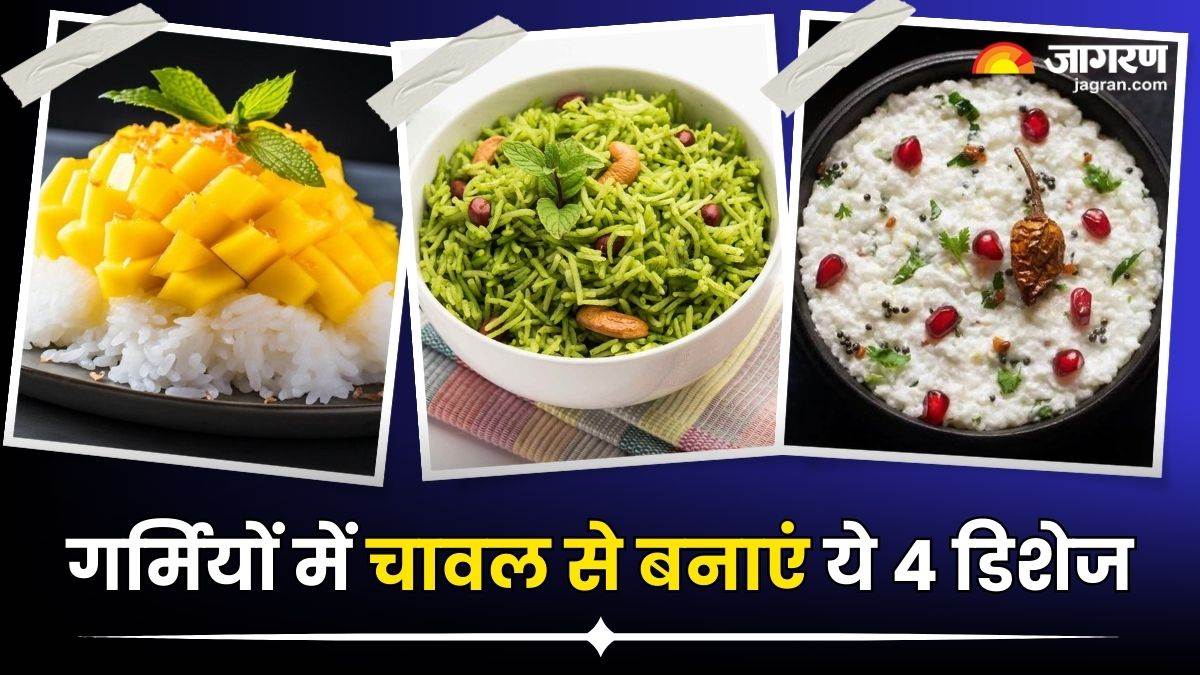 rice recipes for summer in hindi mango rice curd rice green coriander rice mint rice