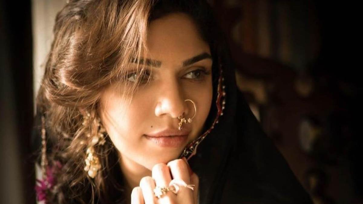 heeramandi 2 netizens made a special request to sanjay leela bhansali regarding sharmin segal