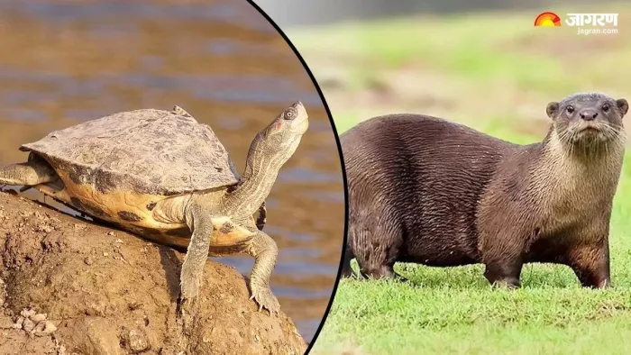 News Article Hero Image