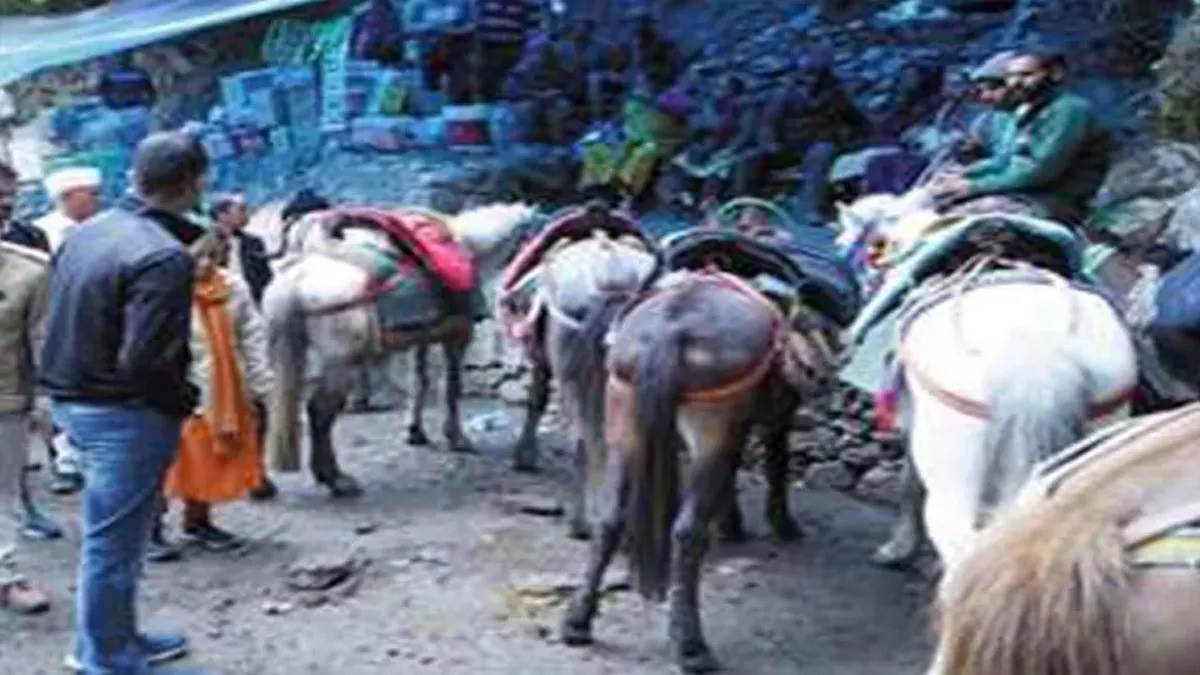 https://www.jagranimages.com/images/newimg/03062025/03_06_2025-horse_flu_23954762.jpg