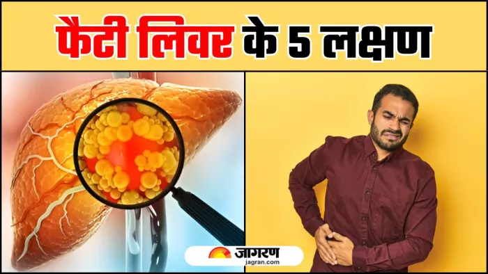 Fatty Liver की ओर इशारा करते हैं शरीर में दिखने वाले 5 संकेत (Image Source: Freepik)