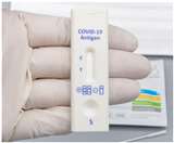 कोरोना परीक्षण को सही तरीके से काम करने के लिए एंटीबॉडी में पीएच के मानक बनाए रखना जरूरी होता है