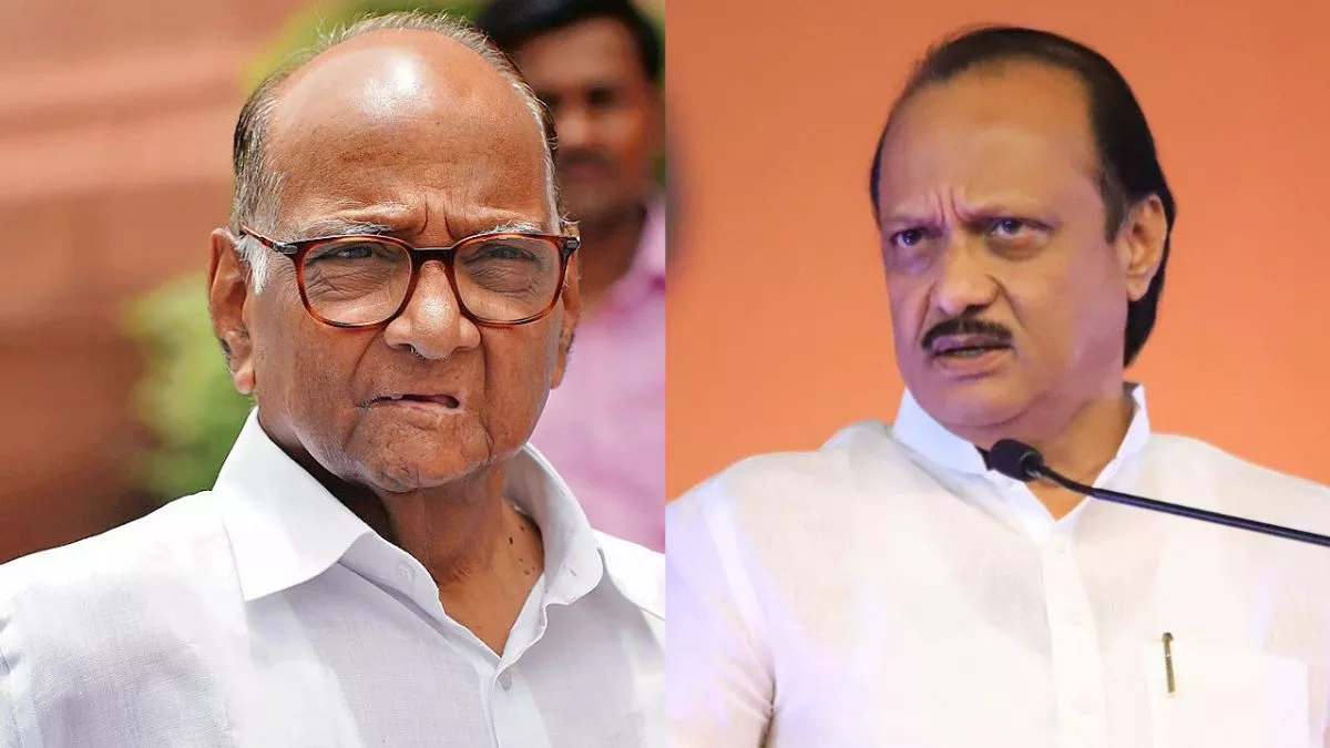 Maharashtra Politics: एक्शन मोड में शरद पवार, 'पार्टी विरोधी गतिविधियों' के लिए सुनील तटकरे और प्रफुल्ल पटेल की सदस्यता की रद