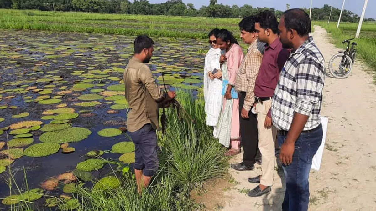 Darbhanga News: दरभंगा में बाढ़ की आपदा को नवाचार से अवसर में बदल रहे किसान, दूसरे राज्यों से लौटकर पेश कर रहे मिसाल