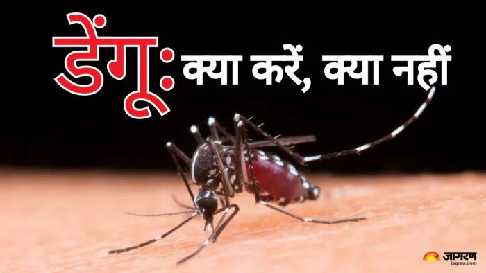 डेंगू से बचाव के लिए करें ये काम (Picture Credit- Freepik)