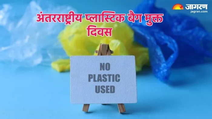 अंतरराष्ट्रीय प्लास्टिक बैग मुक्त दिवस इतिहास व महत्व (Pic credit- freepik)