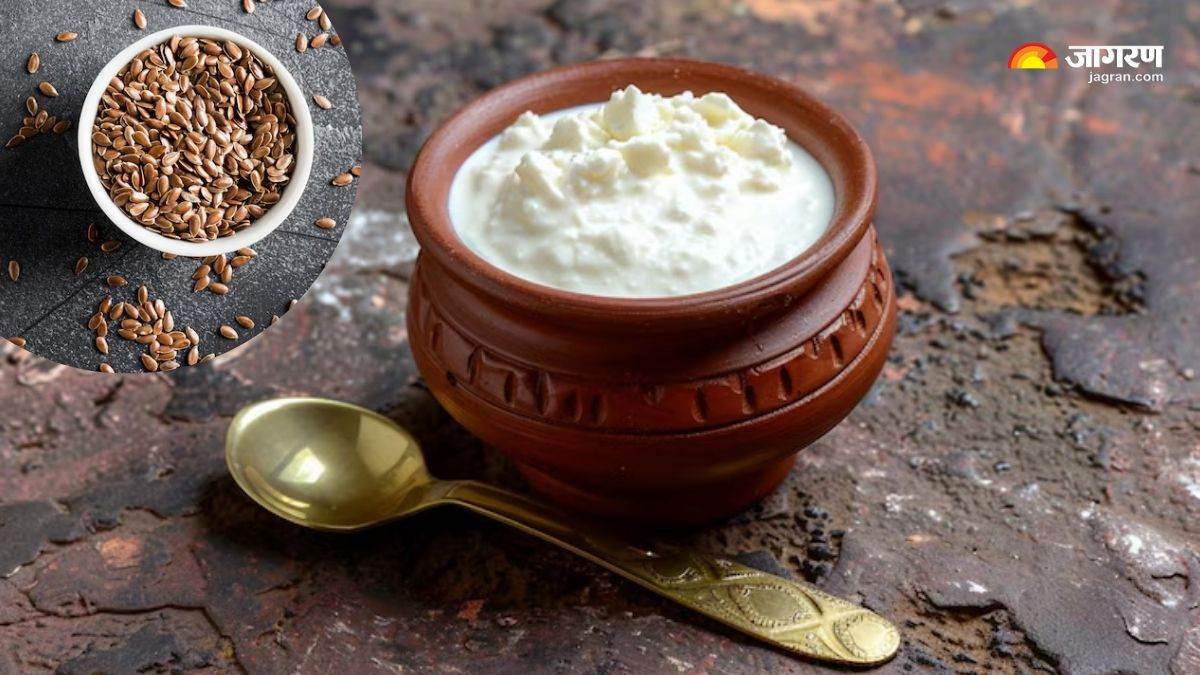 https://www.jagranimages.com/images/newimg/03072025/03_07_2025-curd_with_flaxseed_benefits_23974106.jpg