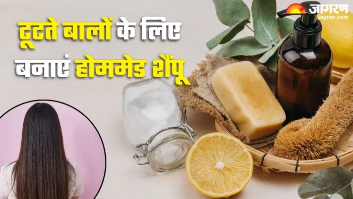 झड़ते बालों के लिए घर पर बनाएं शैंपू (Picture Credit- Freepik)