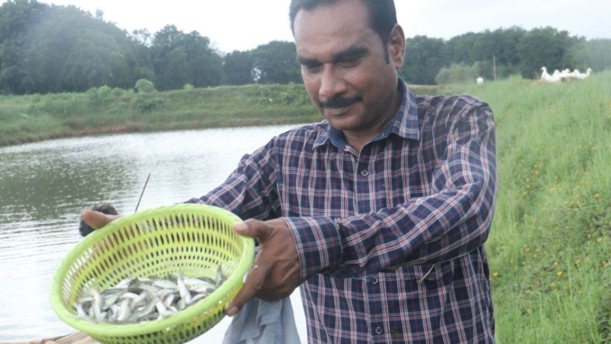 ex maoists thrive in gumla through fish farming benefiting from pmmsy scheme