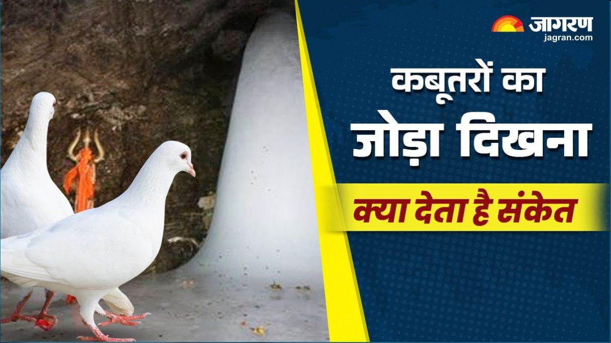 https://www.jagranimages.com/images/newimg/03072025/03_07_2025-pigeon_pair_in_amarnath_yatra_23973406.jpg
