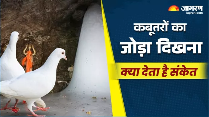 Amarnath Yatra 2025: माता पार्वती के कथा सुनने के दौरान मौजूद था कबूतर का जोड़ा, जो हो गया अमर।