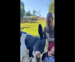 वीडियो से प्यार की परिभाषा का पता चलता है।