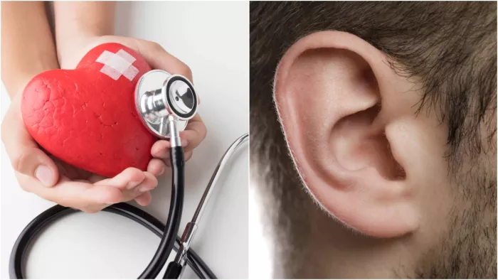 Heart Attack: कान में भी दिख जाते हैं दिल के दौरे के चेतावनी के संकेत ...