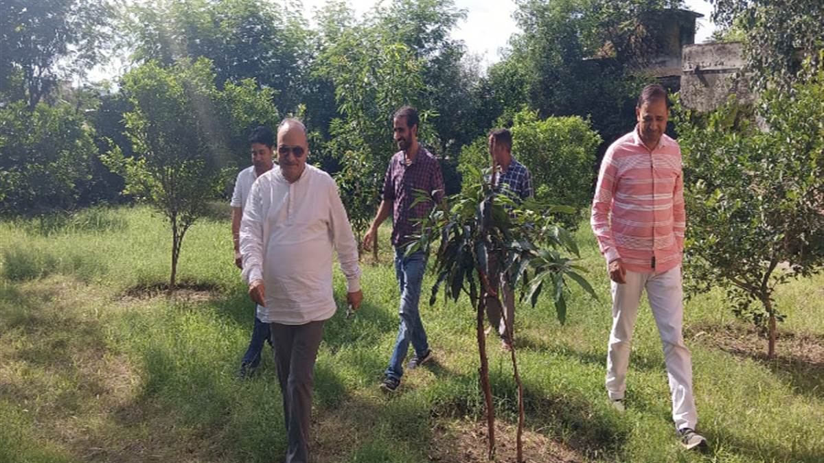 jammu kashmir government said now subsidy of 50 thousand rupees will be available in horticulture