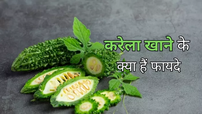 Karela Benefits: करेला के इतने सारे फायदे जानकर हो जाएंगे हैरान