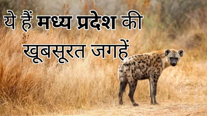 मध्य प्रदेश में घूमें ये खूबसूरत जगहें