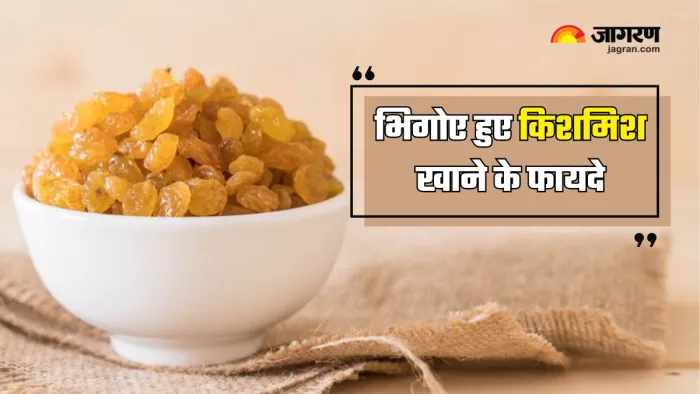 भिगोई हुई किशमिश खाने से मिलते हैं ढेरों फायदे (Picture Courtesy: Freepik)