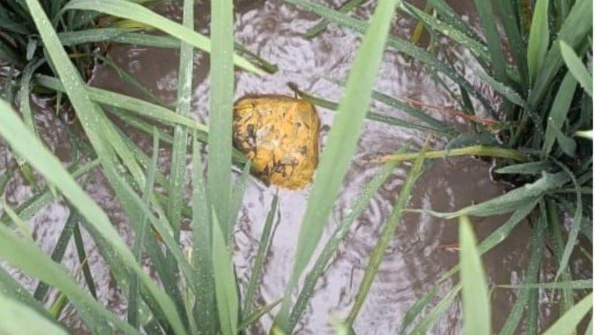 two drug smugglers arrested with heroin and drone consignment of drugs came from pakistan