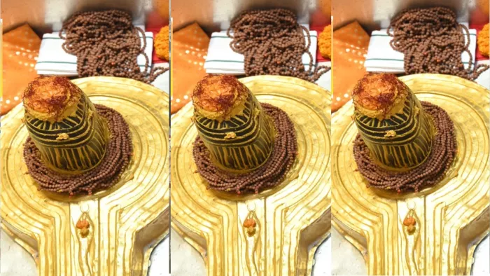 सावन के सोमवार को बाबा के अलग-अलग स्वरूपों में किया जा रहा विशेष श्रृंगार।