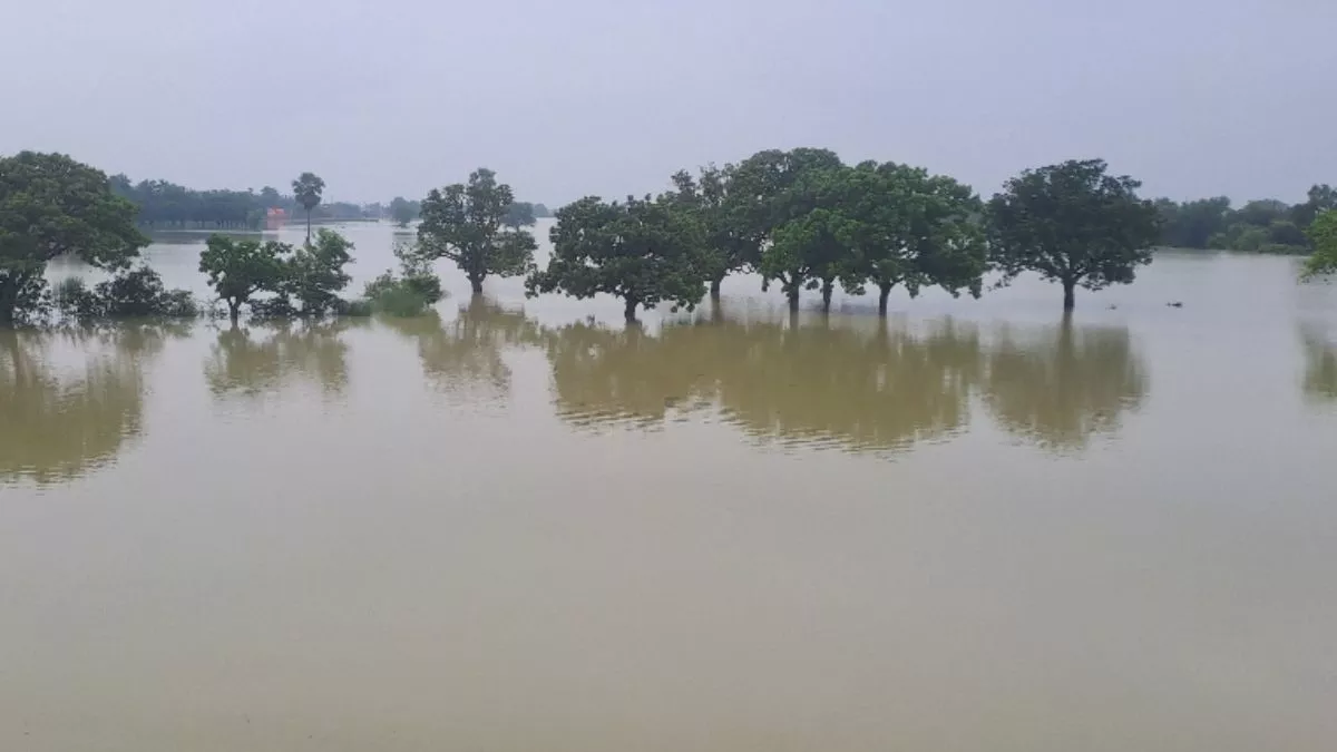 मूसलाधार बारिश के बाद लखीसराय में हाहाकार, जलमग्न हुआ प्रखंड कार्यालय; दस्तावेज बचाने में जुटे अधिकारी