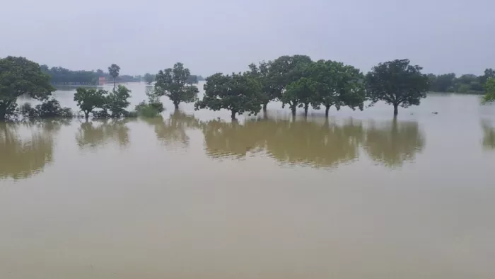 लगातार तेज बारिश से रामगढ़ चौक प्रखंड मुख्यालय हुआ जलमग्न। जागरण फोटो