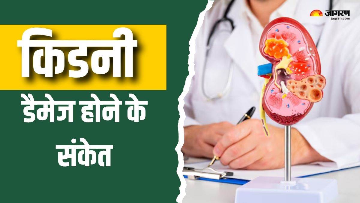 https://www.jagranimages.com/images/newimg/03082025/03_08_2025-kidney_damage_signs_in_urine_24002321.jpg