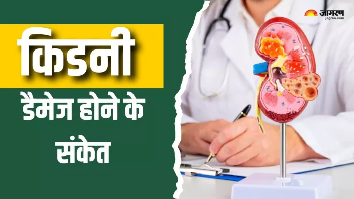 किडनी डैमेज का पता कैसे लगाएं? (Picture Courtesy: Freepik)