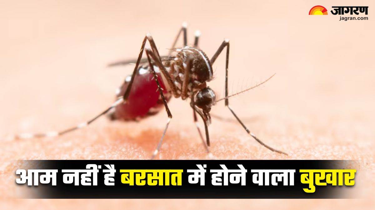https://www.jagranimages.com/images/newimg/03082025/03_08_2025-malaria_1_24002311.jpg