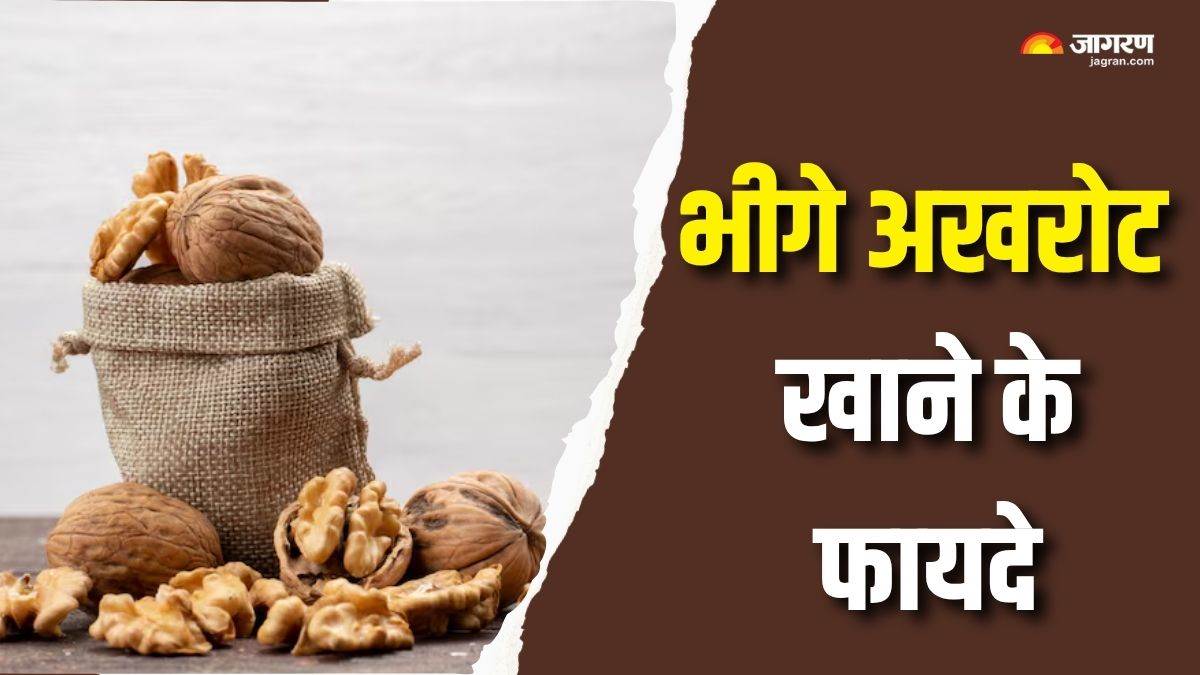 https://www.jagranimages.com/images/newimg/03082025/03_08_2025-soaked_walnut_benefits_1_24002688.jpg