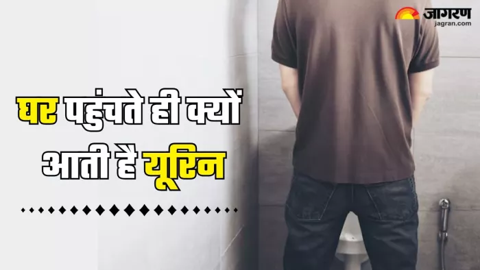 घर पहुंचते ही क्यों आती है तुरंत यूरिन करने की इच्छा (Picture Credit- Freepik)
