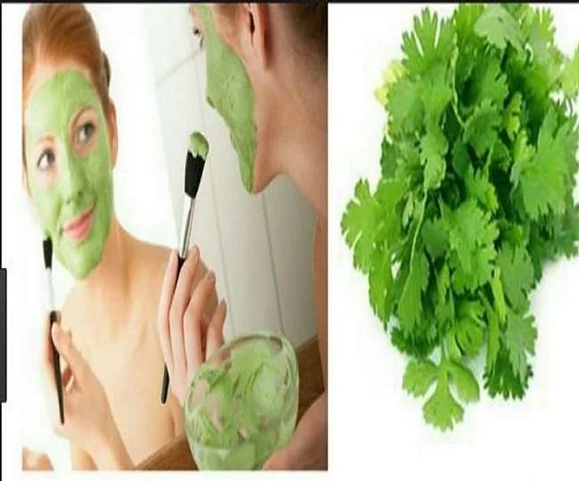 Coriander Leaves Benefitsचेहरे के मुहांसे और पिगमेंटेशन से परेशान है