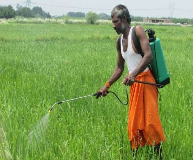 लखनऊ के जिला कृषि रक्षा अधिकारी विनय सिंह ने किसानों को अलर्ट रहने की सलाह दी है।