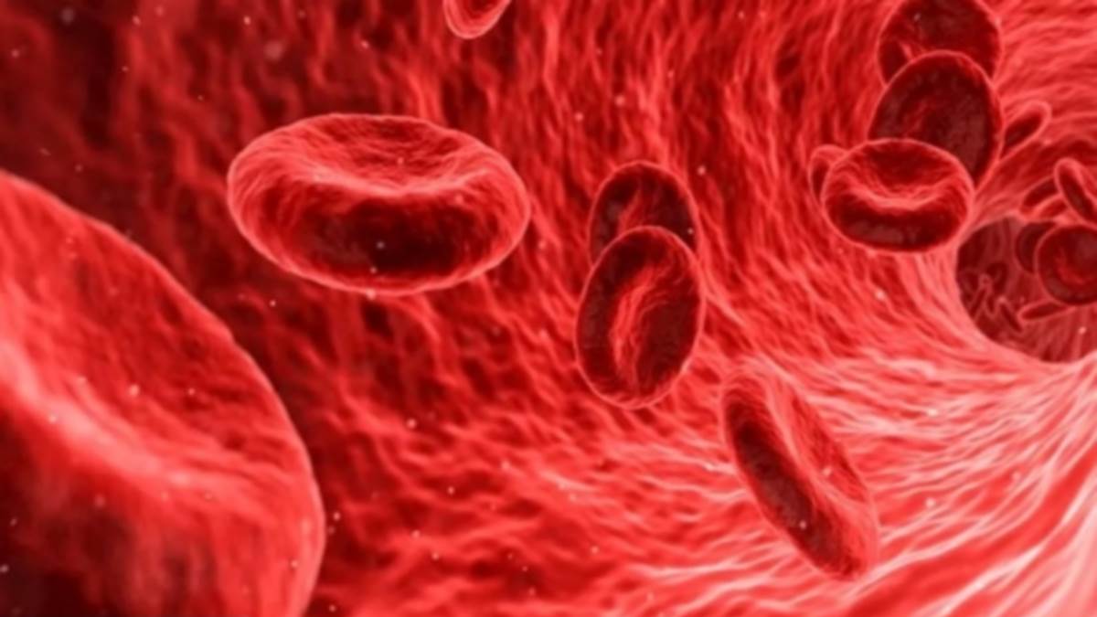 https://www.jagranimages.com/images/newimg/03092022/03_09_2022-anemia_23039489_19439355.jpg