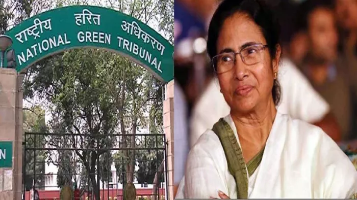 प्रदूषण मुक्त वातावरण प्रदान करना राज्य और स्थानीय निकायों की संवैधानिक जिम्मेदारी: NGT