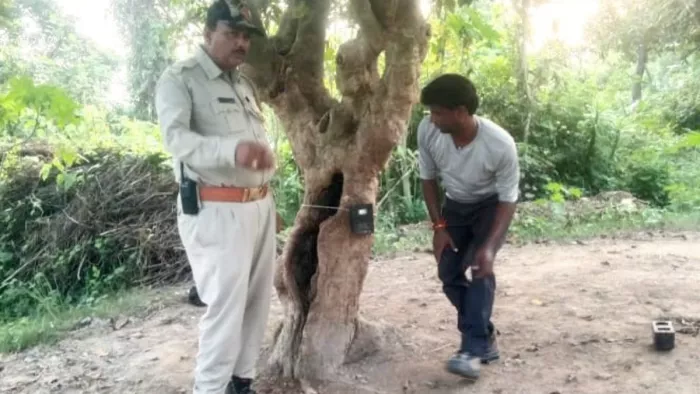 तेंदुओं को पकड़ने के लिए लगाया पिंजरा, इस खास उपकरण से होगी निगरानी