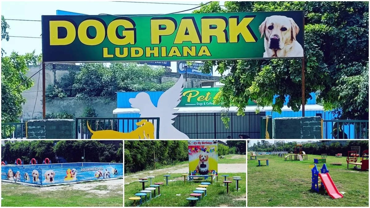 Dog Park In Ludhiana: लुधियाना में बना पंजाब का पहला डॉग पार्क, स्वीमिंग पूल से लेकर Pet Cafe तक की सुविधा