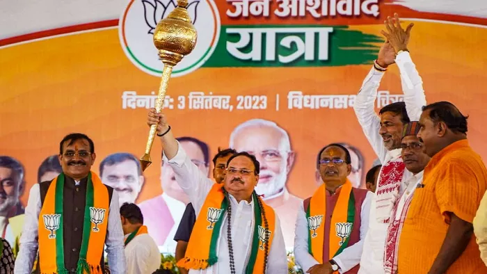 चित्रकूट में एक सभा को संबोधित करते हुए भाजपा के राष्ट्रीय अध्यक्ष जेपी नड्डा (फोटो: पीटीआई)
