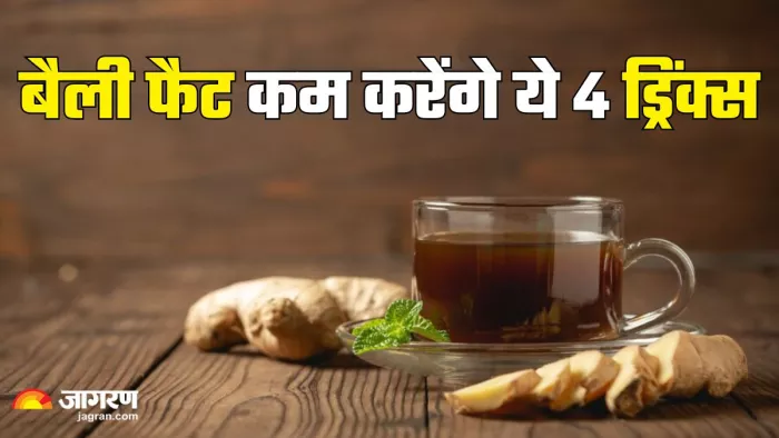 पेट की चर्बी कम करेंगे ये 4 ड्रिंक्स (Picture Credit- Freepik)