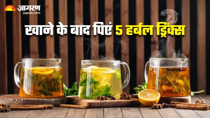 डिनर के बाद पिएंगे ये 5 हर्बल ड्रिंक्स, तो तेजी से घटा पाएंगे बढ़ता वजन (Image Source: Freepik)