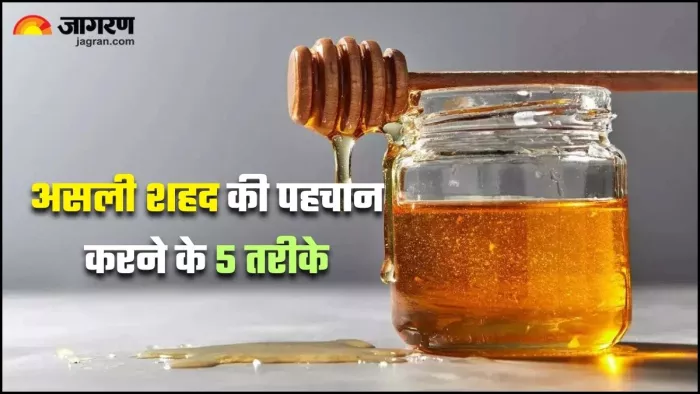 Honey Purity Test: घर पर ऐसे करें शहद की शुद्धता की पहचान (Image Source: Freepik)
